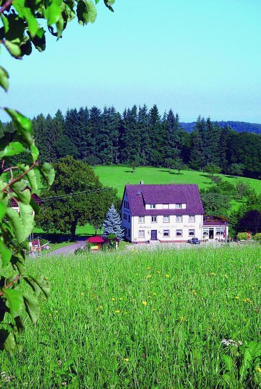 Gasthaus Und Pension Hintere Hofe Freiamt Екстериор снимка